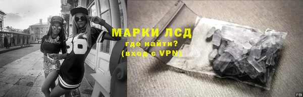 гидра Белокуриха