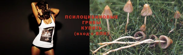 спайс Богородицк