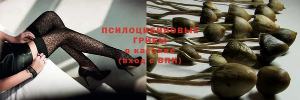 спайс Богородицк