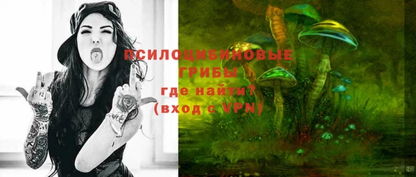 спайс Богородицк