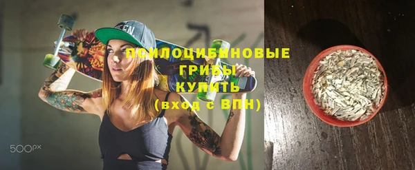 спайс Богородицк