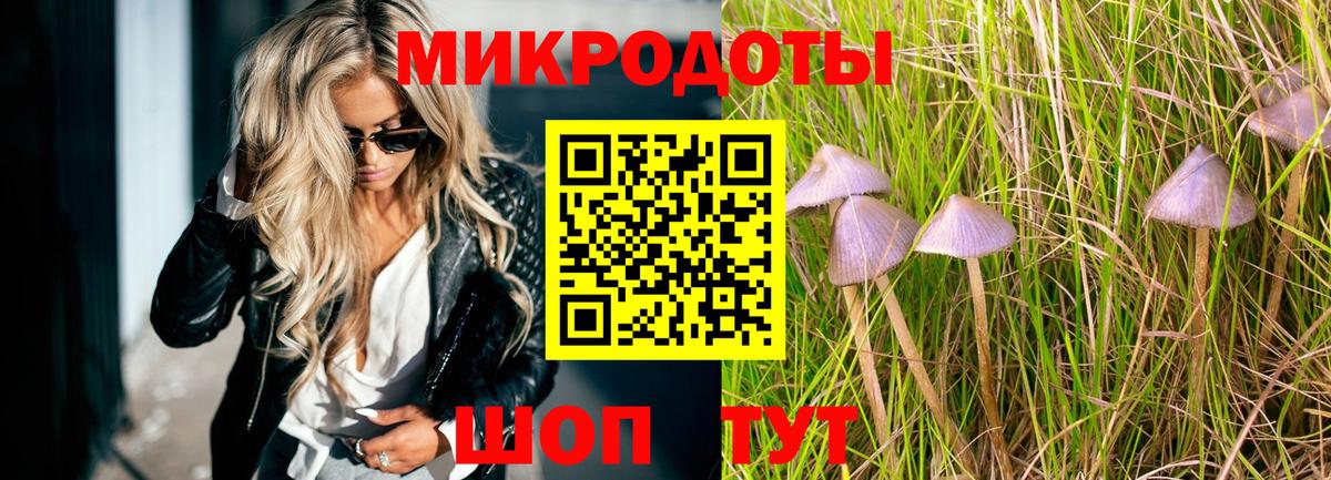 Видное  Псилоцибиновые грибы мухоморы  Вход с VPN  Галлюциногенные грибы мухоморы 